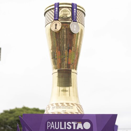 Técnico de futebol
